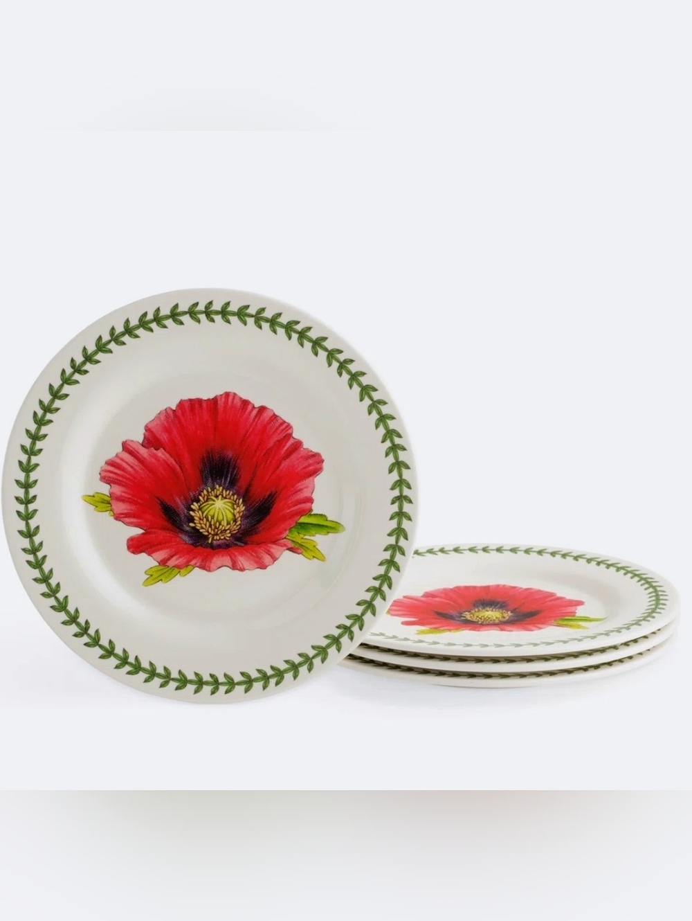 ❣️NIB BOTANIC SALAD PLATES - Picture 3 of 15